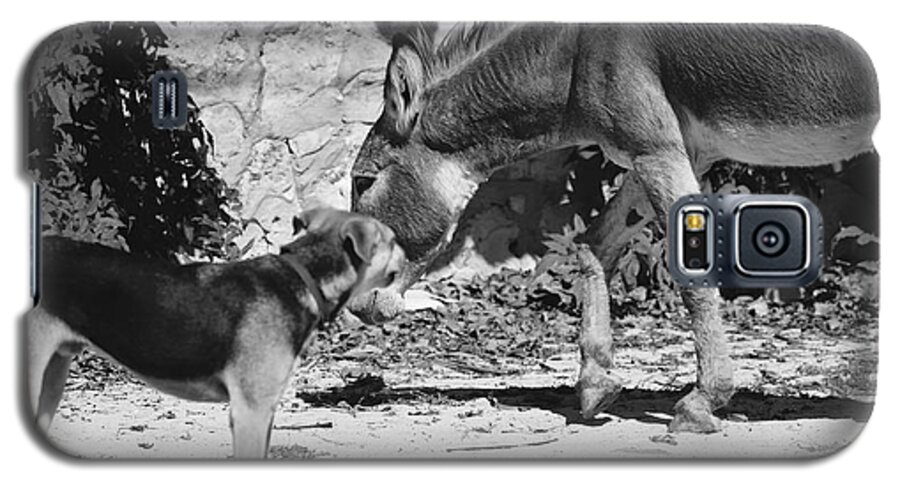 Dog Galaxy S5 Case featuring the photograph Dog and Burro Show by Debra Grace Addison