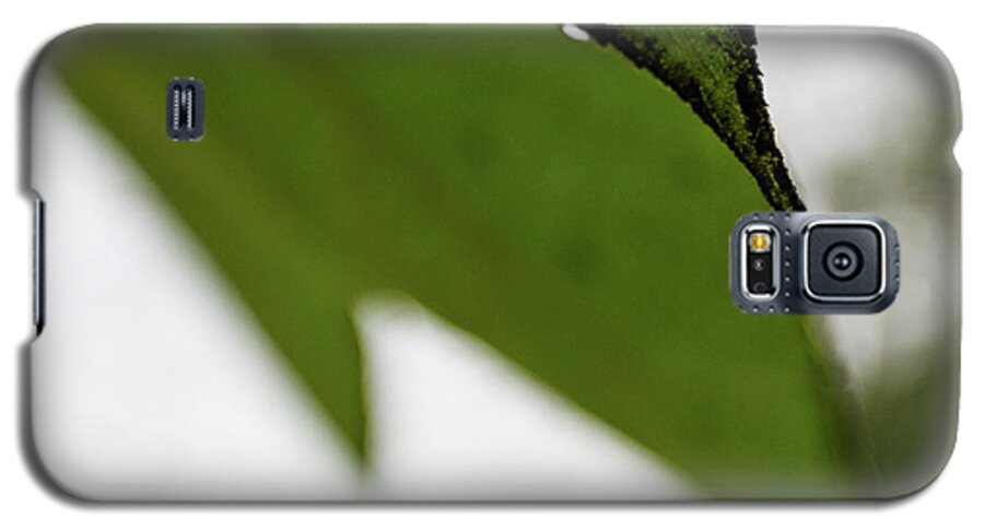 Leaf Galaxy S5 Case featuring the photograph Droplet by Fred DeSousa