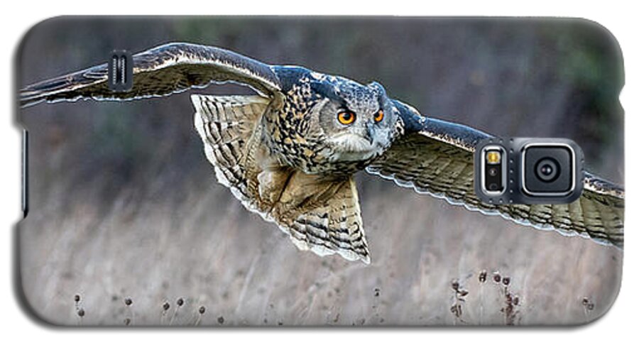 Owl Galaxy S5 Case featuring the photograph Eagle Owl Gliding by Mark Hunter