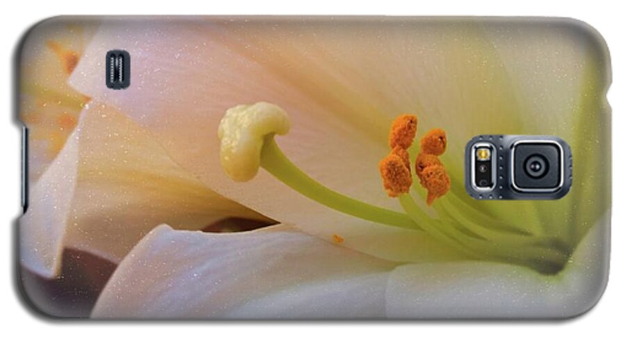 Easter Lilly Galaxy S5 Case featuring the photograph Easter Lily by Bonnie Willis