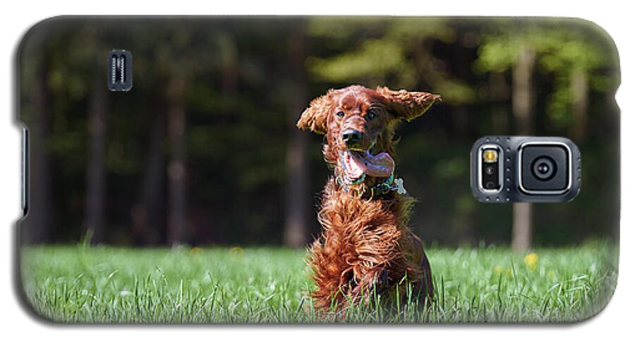Forest Galaxy S5 Case featuring the photograph Elf by Robert Krajnc