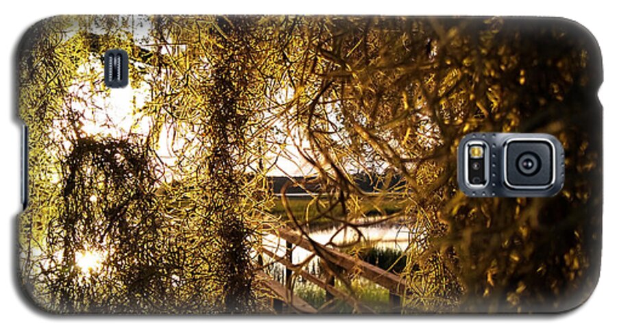 Johns Island Galaxy S5 Case featuring the photograph Entry by Robert Knight