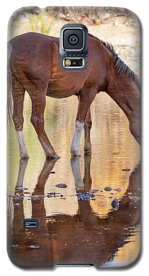 Wild Horses Galaxy S5 Case featuring the photograph Evening reflections by Mary Hone