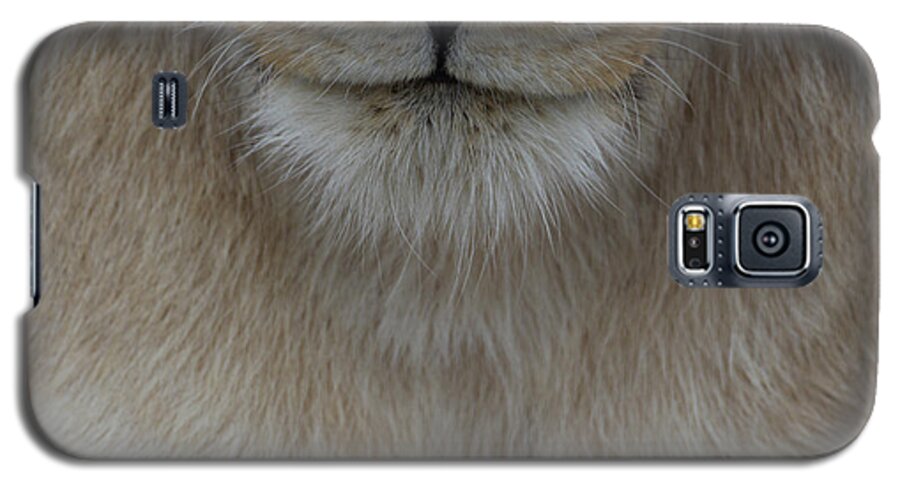 Lion Galaxy S5 Case featuring the photograph Face of a lioness - a close up view by Mark Hunter