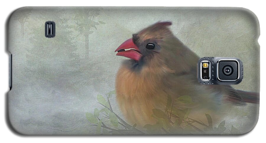 Female Cardinal Galaxy S5 Case featuring the photograph Female Cardinal with Seed by Patti Deters