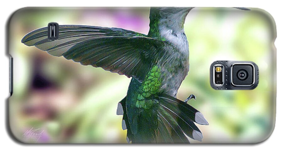 Hummingbird Galaxy S5 Case featuring the photograph Female Ruby-Throated Hummingbird by Michael Frank