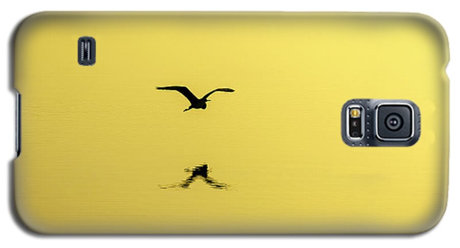 Bird Galaxy S5 Case featuring the photograph Free by Bryan Williams