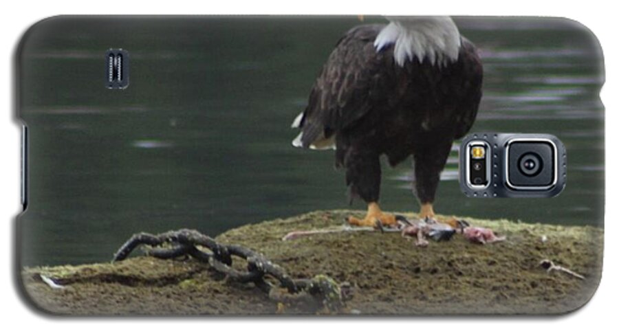 Eagle Galaxy S5 Case featuring the photograph Freedom unchained by Fred Bailey