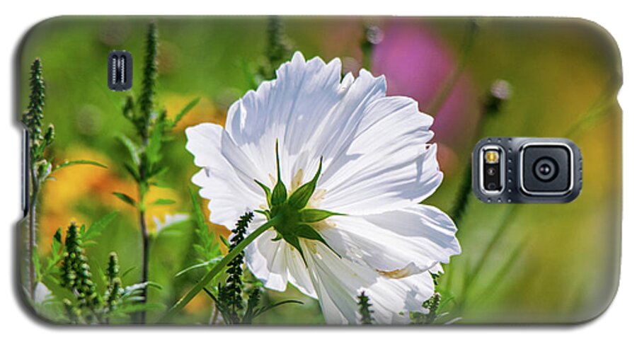 Garden Cosmos Galaxy S5 Case featuring the photograph Garden Cosmos by Mary Ann Artz