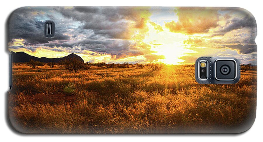 Grass Galaxy S5 Case featuring the photograph Golden light of southern Arizona by Chance Kafka
