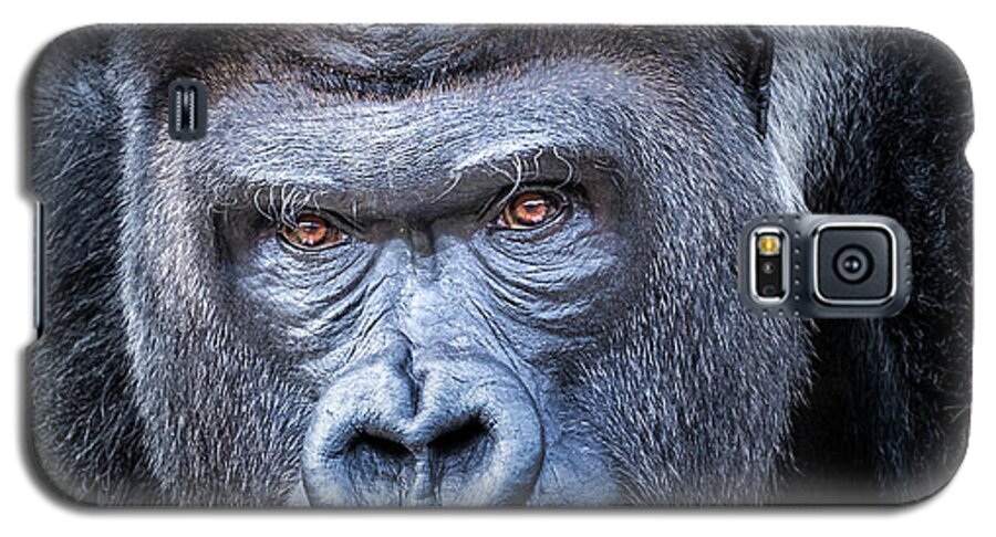 Gorillas Galaxy S5 Case featuring the photograph Gorrilla by Robert Bellomy