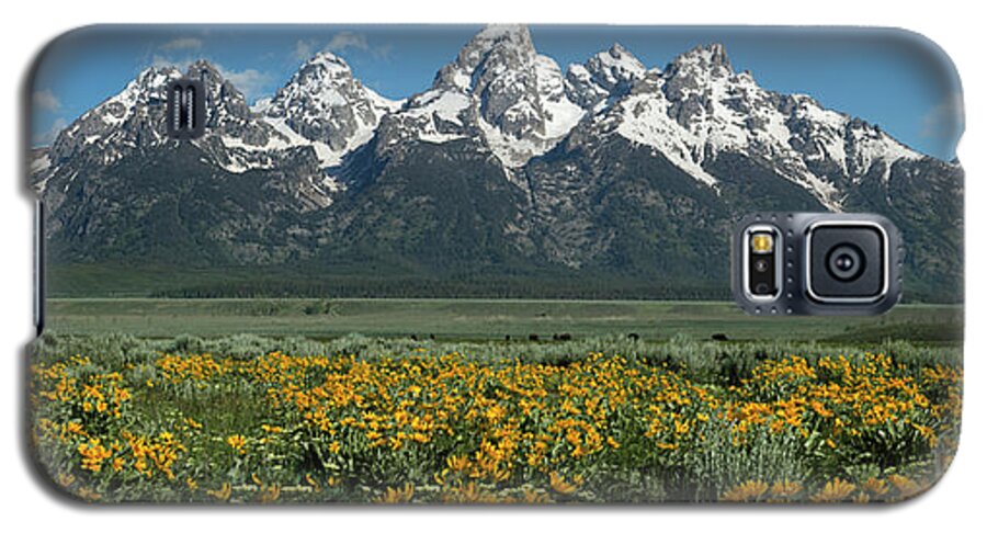 Landscapes Galaxy S5 Case featuring the photograph Grand Teton Summer by Sandra Bronstein