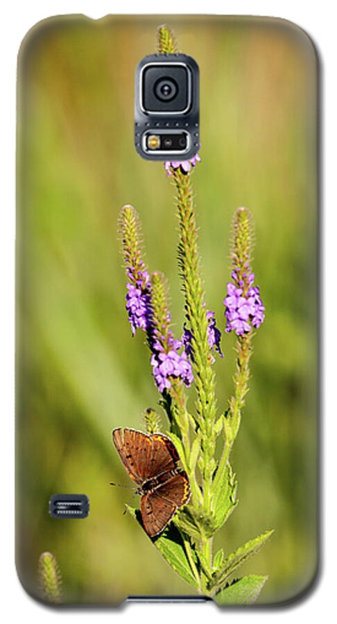 Gray Copper (lycaena Dione) Galaxy S5 Case featuring the photograph Gray Copper on Blazing Star by Jeff Phillippi