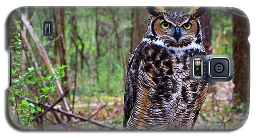 Great Galaxy S5 Case featuring the photograph Great Horned Owl Standing on a Tree Log by Jill Lang