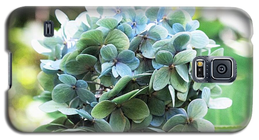 Green Hydrangea Galaxy S5 Case featuring the photograph Green Hydrangea by Mary Ann Artz