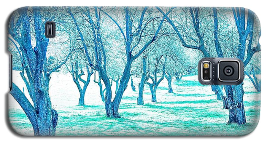 Trees Galaxy S5 Case featuring the photograph Grove 1 by Marty Klar