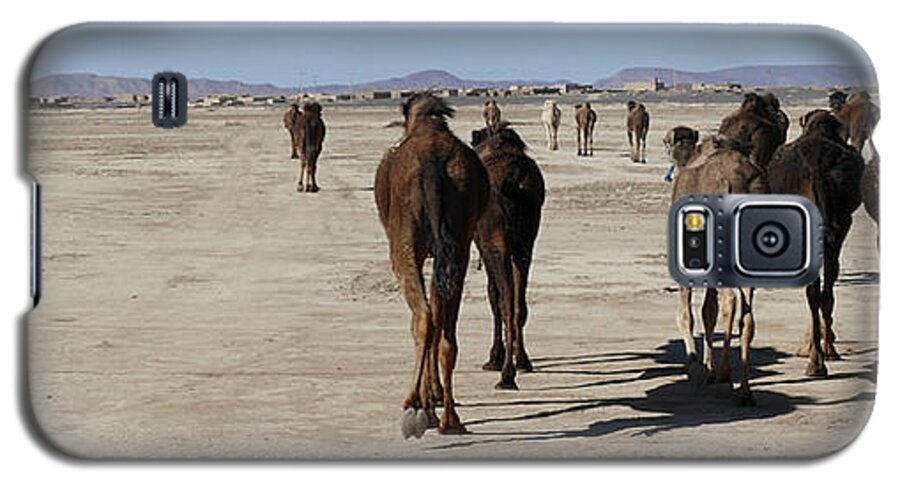 Morocco Galaxy S5 Case featuring the photograph Herd of camels crossing the highway near Rissani by Steve Estvanik