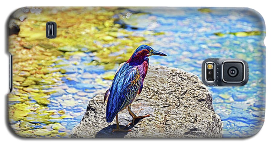Green Heron Galaxy S5 Case featuring the photograph Heron bluff by Climate Change VI - Sales
