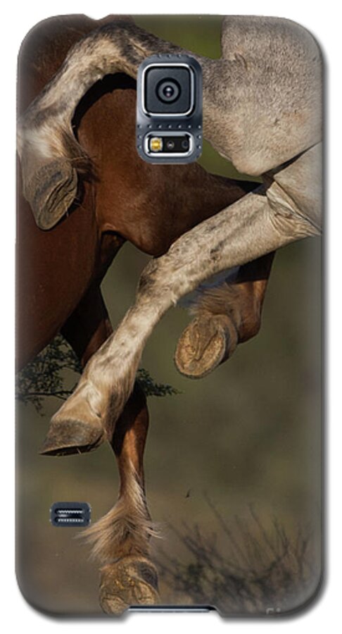 Action Galaxy S5 Case featuring the photograph Horse Ballet by Shannon Hastings
