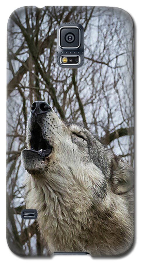 Wolf Wolves Howling Howl Galaxy S5 Case featuring the photograph Howlin by Laura Hedien
