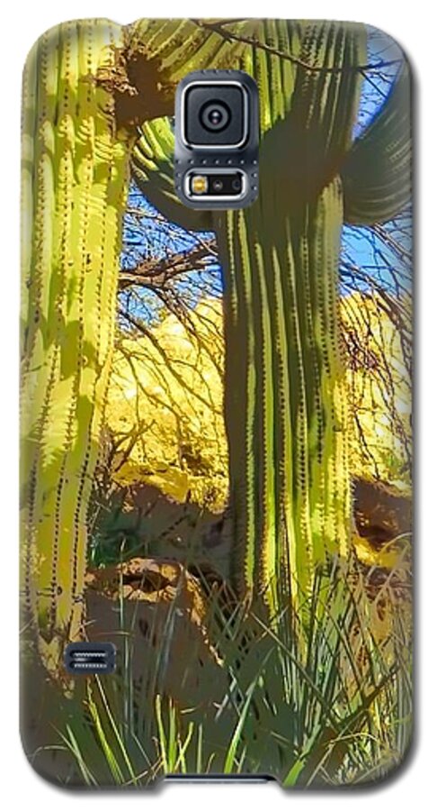 Arboretum Galaxy S5 Case featuring the photograph In the Shadow of Saguaros by Judy Kennedy