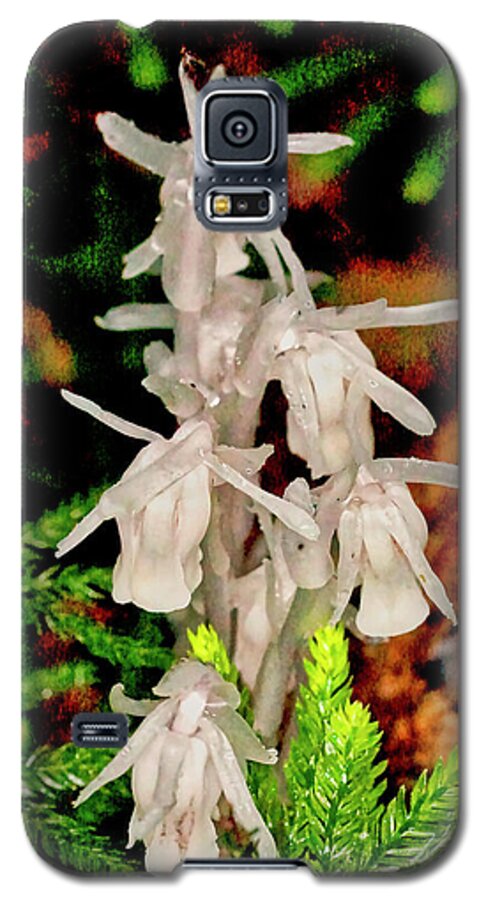 Macro Photography Galaxy S5 Case featuring the photograph Indian Pipes On Club Moss by Meta Gatschenberger