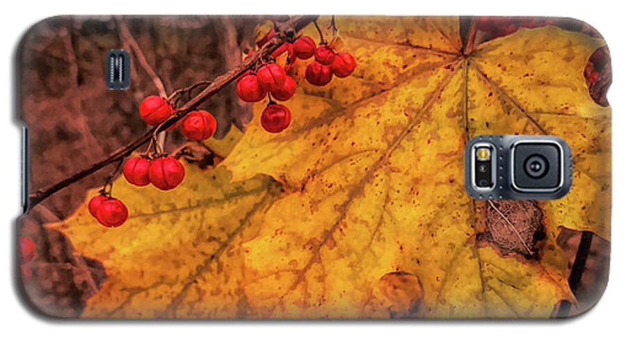 Salem Mass Galaxy S5 Case featuring the photograph Last of the fall colors by Jeff Folger