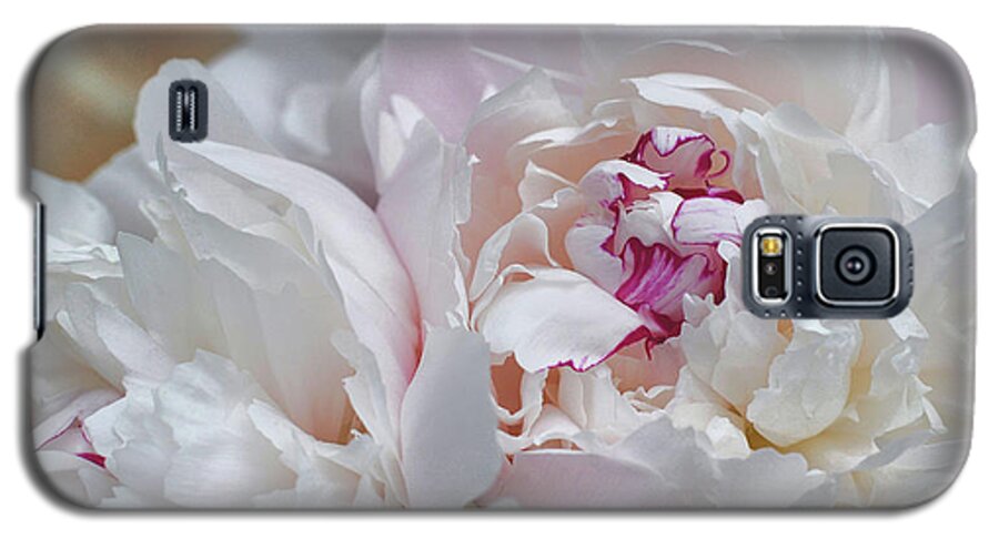 Abundance Galaxy S5 Case featuring the photograph Le Bouquet by JAMART Photography