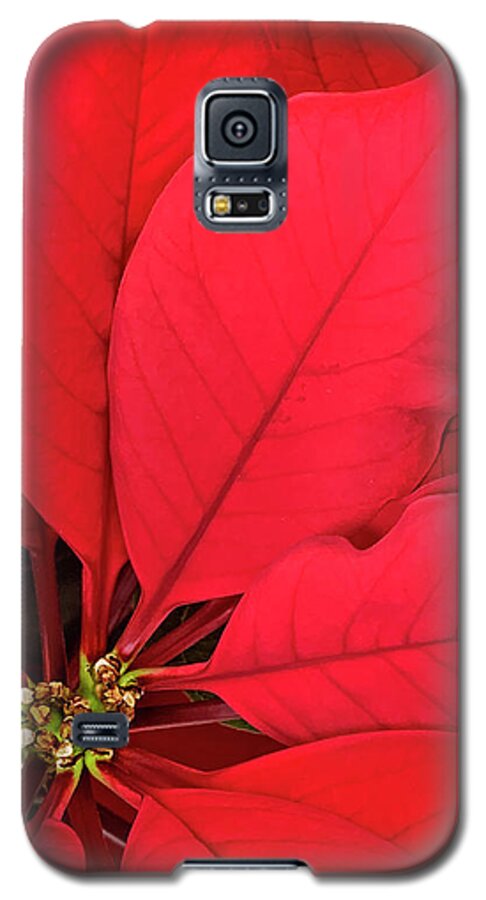 Poinsettia Galaxy S5 Case featuring the photograph Leaves of Fire by Jill Love
