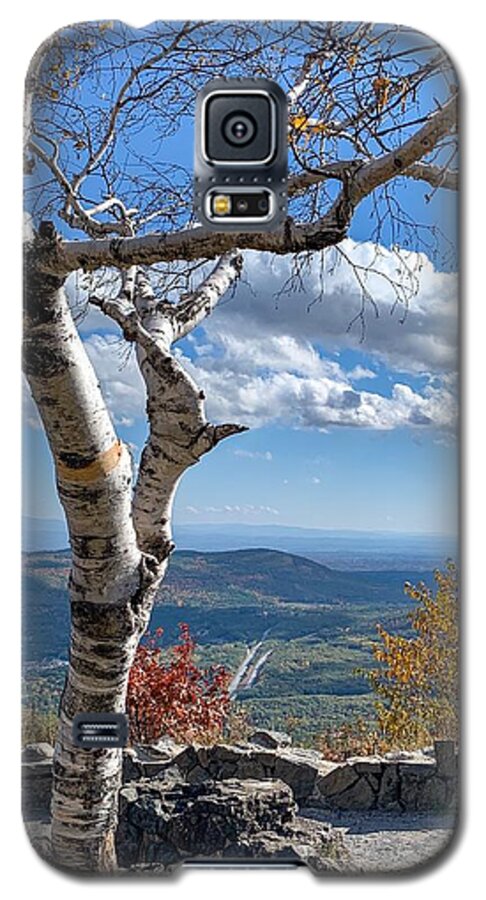 Galaxy S5 Case featuring the photograph Lone birch by Kendall McKernon