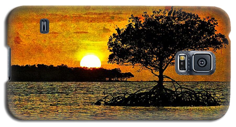 Weipa Galaxy S5 Case featuring the photograph Mangrove Silhouettes Painted Sky Sunset by Joan Stratton