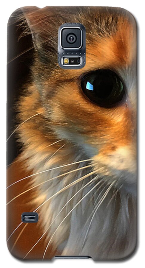 Art Galaxy S5 Case featuring the photograph Mercy by Jeff Iverson