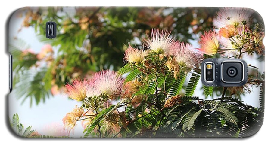 Mimosa Galaxy S5 Case featuring the photograph Mimosa Tree Flowers by Christopher Lotito
