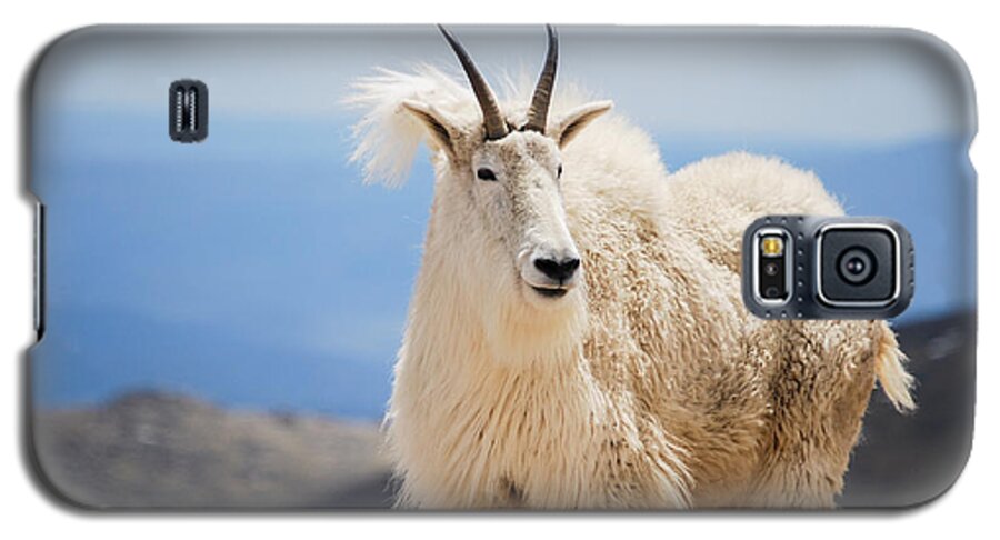 Mountain Galaxy S5 Case featuring the photograph Mountain goat #3 by Steven Liveoak