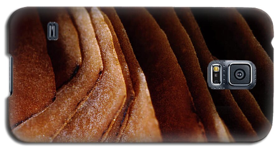 Macro Galaxy S5 Case featuring the photograph Natural Canyons by John Bauer