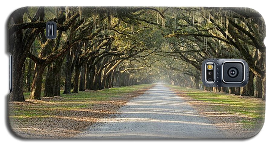 Allee Galaxy S5 Case featuring the photograph Oak Avenue by Bradford Martin
