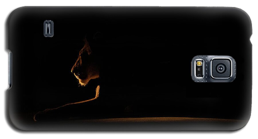 Lion Galaxy S5 Case featuring the photograph Outline African Lion by Mark Hunter