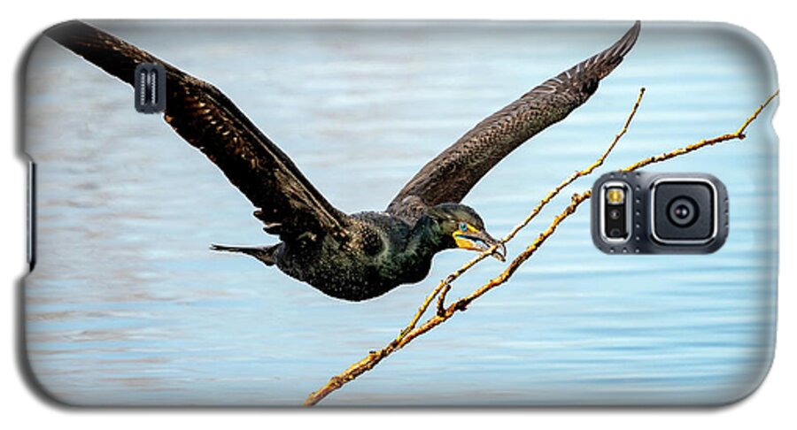 Cormorants Galaxy S5 Case featuring the photograph Over-achieving cormorant by Judi Dressler