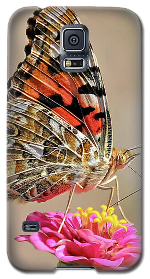 Butterfly Galaxy S5 Case featuring the photograph Painted Lady by Art Cole