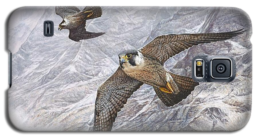 Falcon. Peregrine. Peregrine Falcon. Hawks. Birds Galaxy S5 Case featuring the painting Pair of Peregrine Falcons in Flight by Alan M Hunt