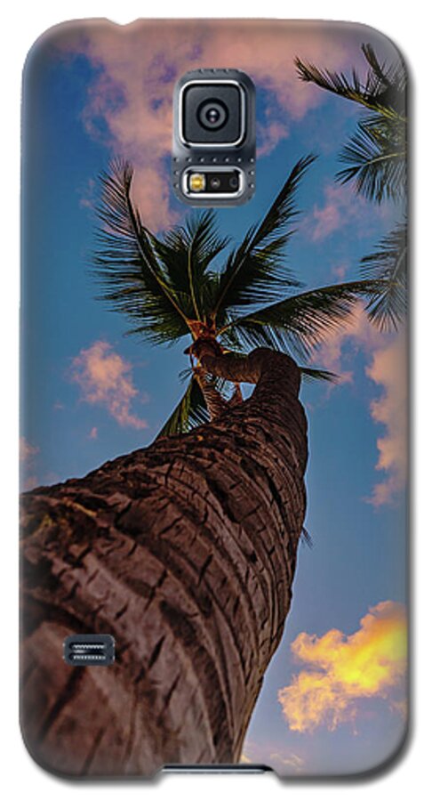 John Bauer Johnbdigtial.com Galaxy S5 Case featuring the photograph Palm Upward by John Bauer