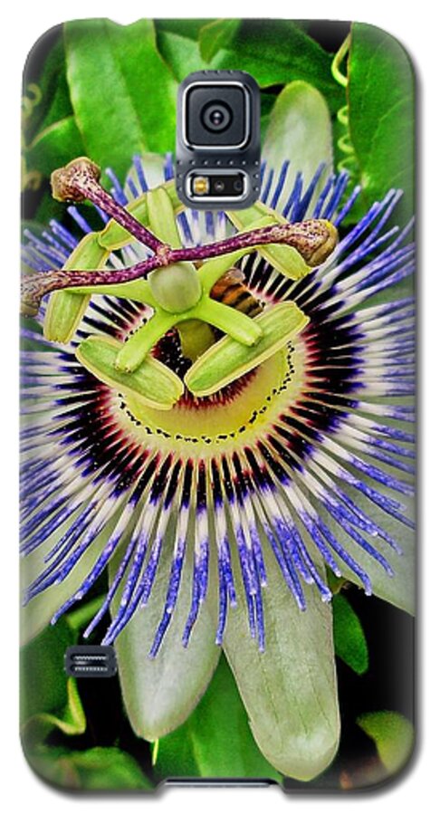 Passion Flower Galaxy S5 Case featuring the photograph Passion Flower Bee Delight by Allen Nice-Webb