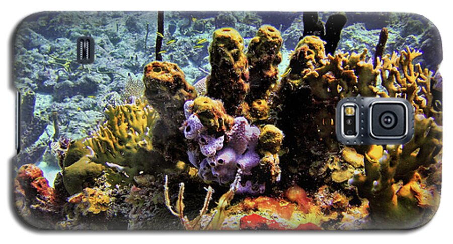 Coral Galaxy S5 Case featuring the photograph Patch Reef Bluff by Climate Change VI - Sales