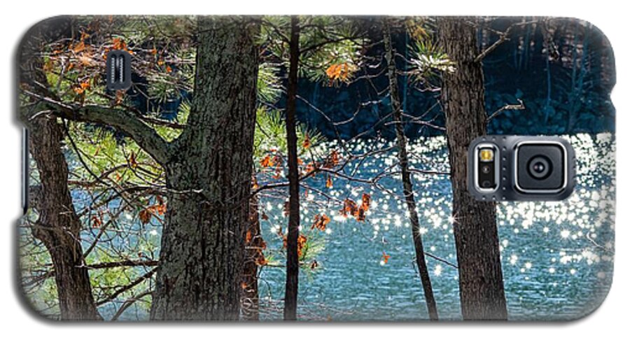 Pine Trees Galaxy S5 Case featuring the photograph Pines and Diamonds by Mary Ann Artz
