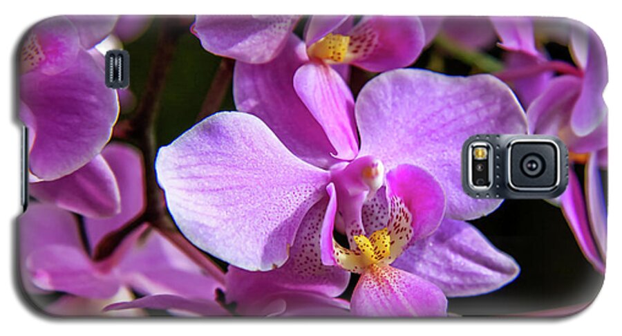 Dawn Richards Galaxy S5 Case featuring the photograph Pink Orchids by Dawn Richards