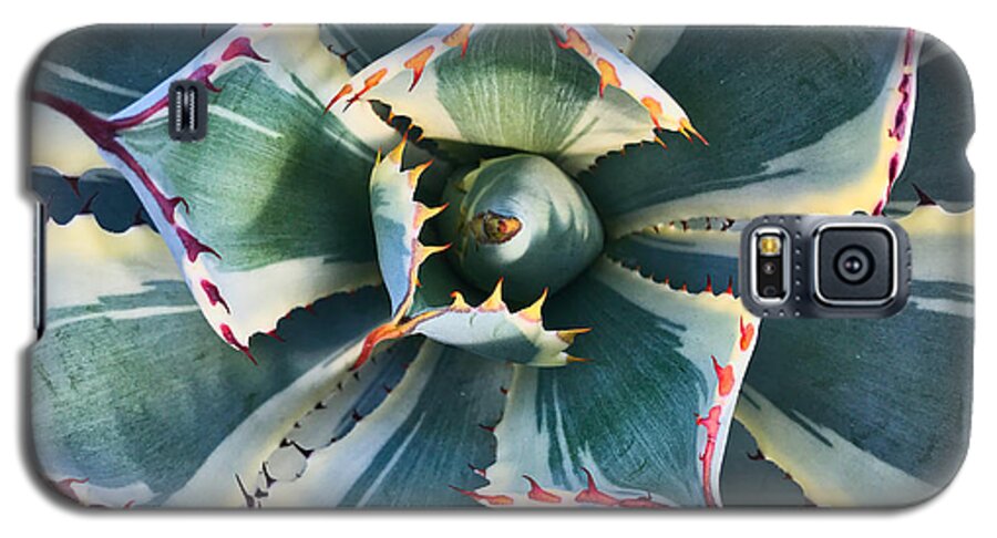 Plant Galaxy S5 Case featuring the photograph Pinwheel Succulent by Tom Gresham