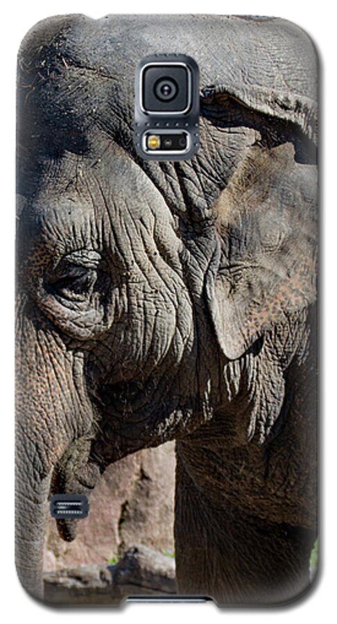 Elephant Galaxy S5 Case featuring the photograph Portrait of an Elephant by Margaret Zabor