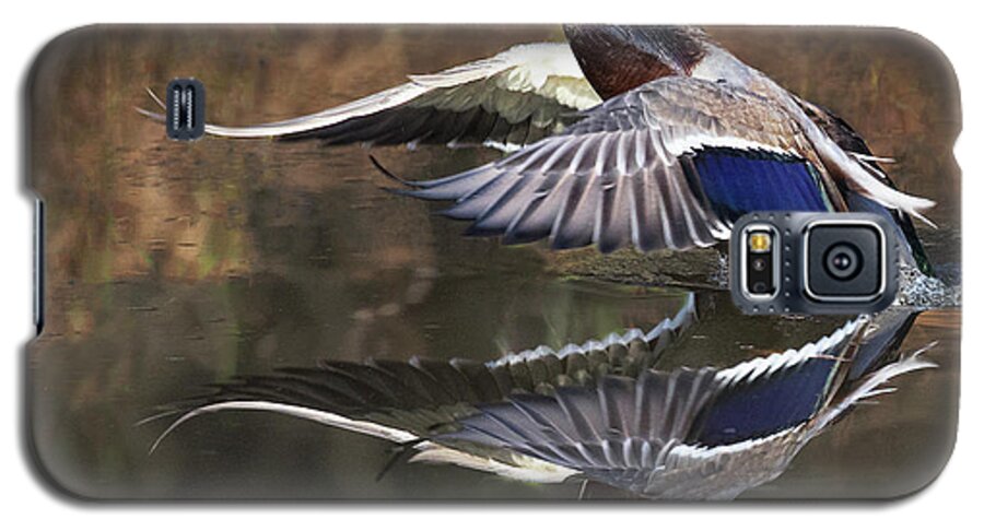 Duck Galaxy S5 Case featuring the photograph Puddle Jump Reflection by Art Cole