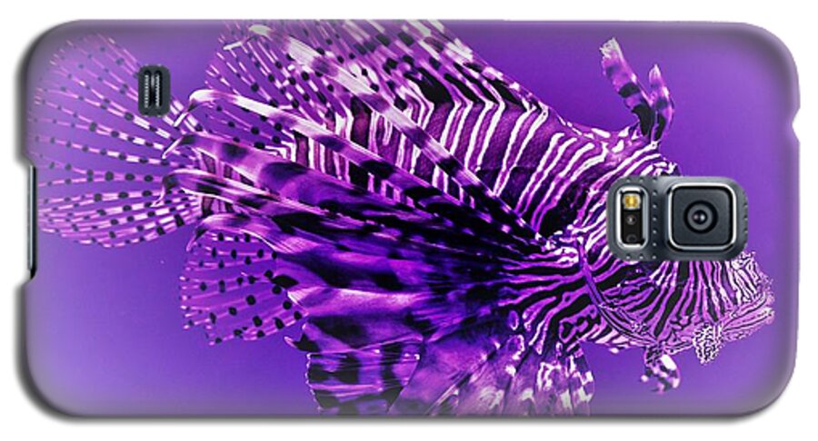 Lion Fish Galaxy S5 Case featuring the photograph Purple Lionfish by Lucie Dumas