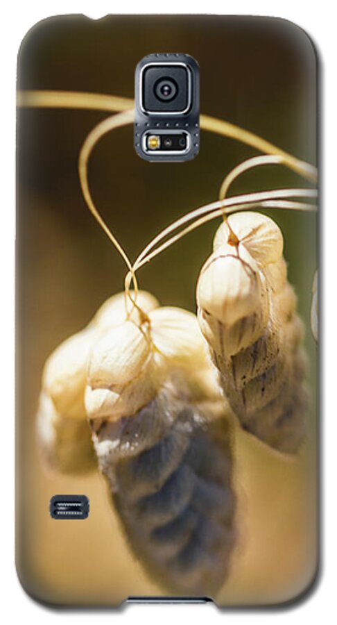 Plant Galaxy S5 Case featuring the photograph Rattles by Laura Roberts